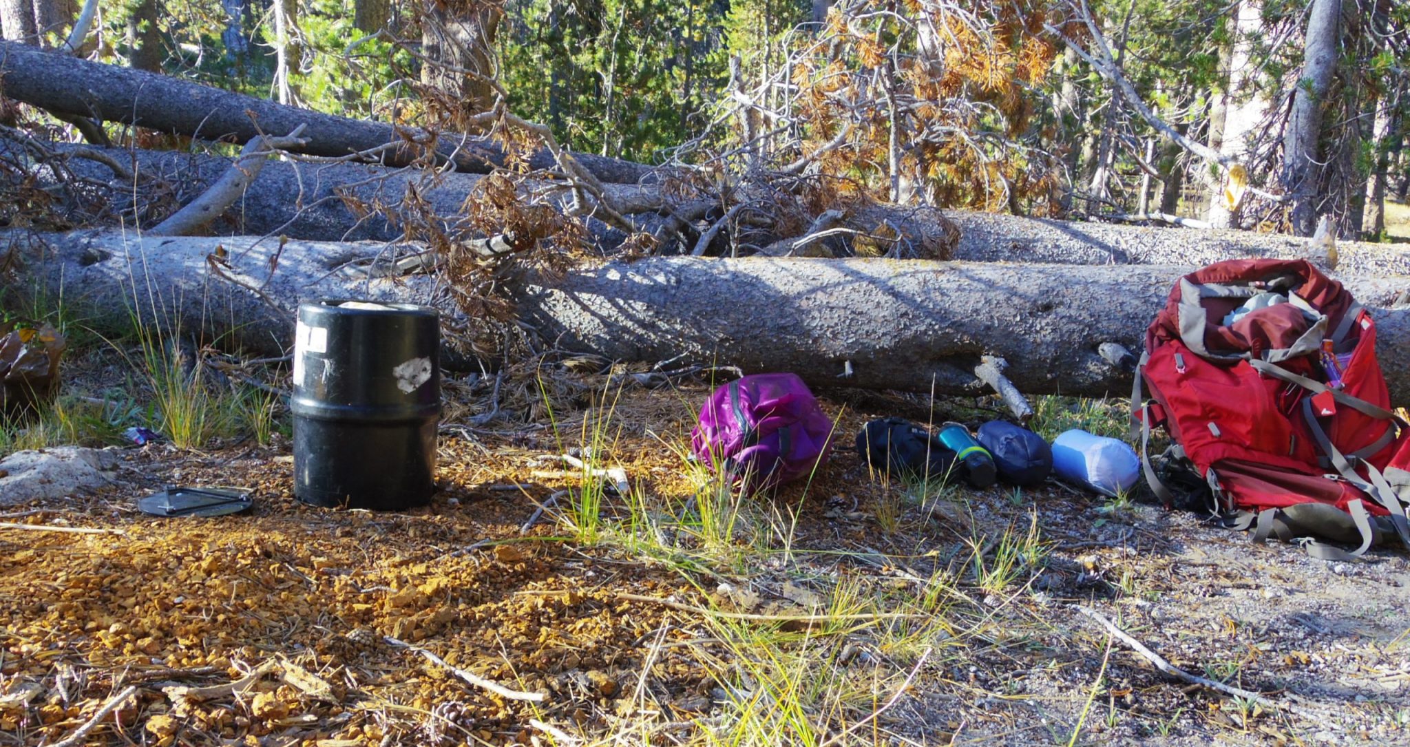 Bear Canister(ベアキャニスター)